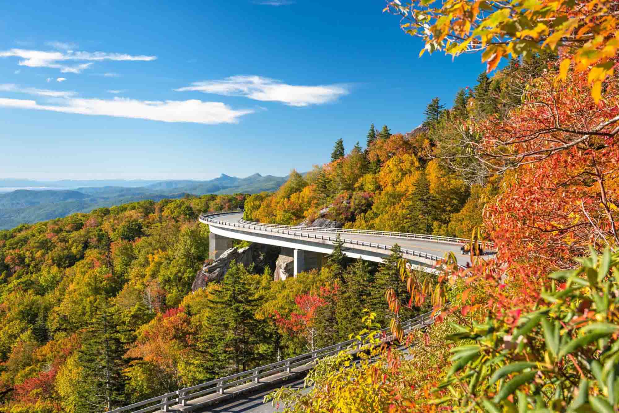 apply-for-truck-driving-jobs-north-carolina-chief-carriers