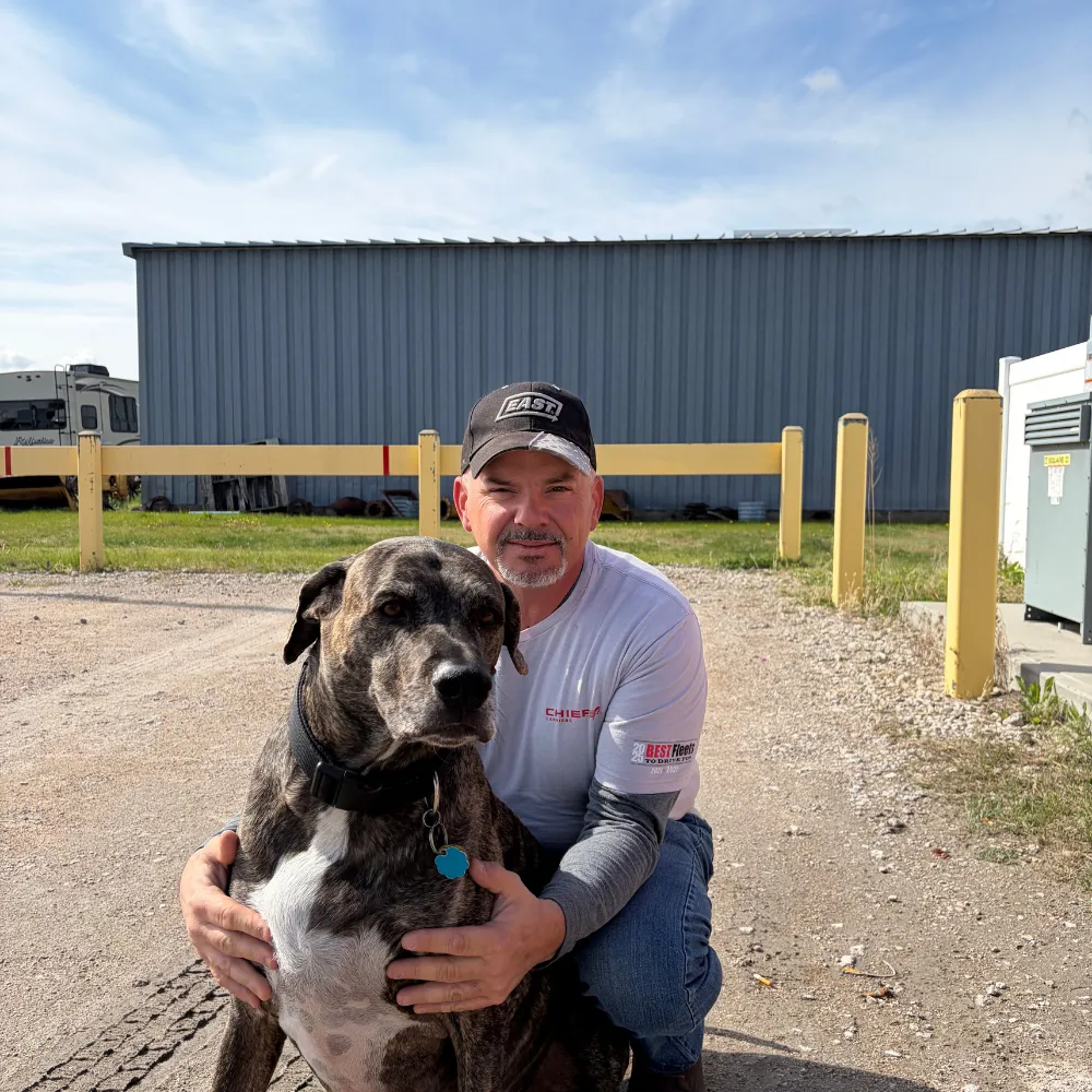 dog and driver dog and driver